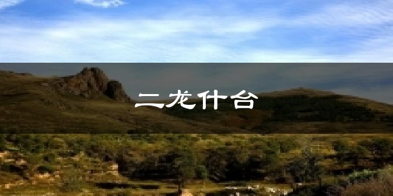 二龙什台天气预报十五天